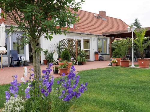 Rakow Apartment | Cozy Apartment in Am Salzhaff with Fireplace & Family-Friendly