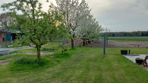 Langeloh Apartment | Family-Friendly Hühnerhof-Röhrs with Top Reviews Await You