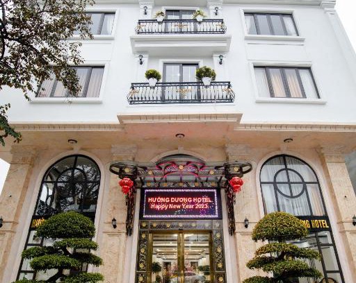 Thanh Hoa Hotel | Relax at Hướng Dương Hotel Thanh Hóa - Pet Friendly & Spa