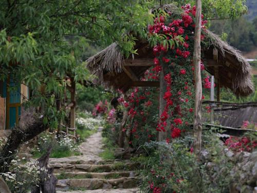 Ma Cha Cabin | Unforgettable H'mông cổ trấn Sapa Homestay with Ocean View