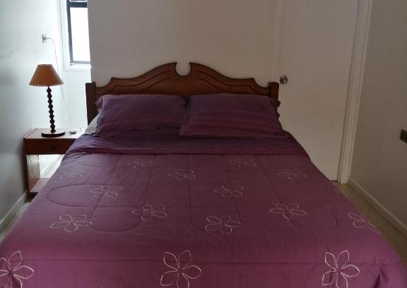 Conaripe Apartment | Habitación doble