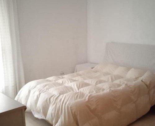 Pinto Apartment | Cozy Shared Room for Two - Perfect Budget Getaway