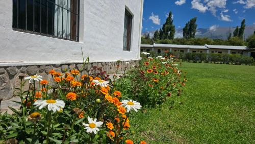 Tafi del Valle Hotel | Habitaciones El Ángel