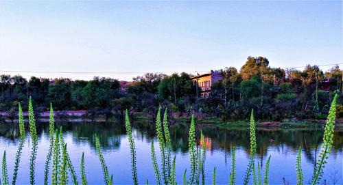 Cadereyta de Montes Hotel | Elegant Hacienda Tovares: 5-Star Stay with Spa & Pool