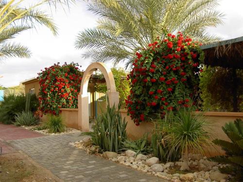 Hatseva Ski Chalet | Top-Rated Hahan Guest House with Pool in the Arava
