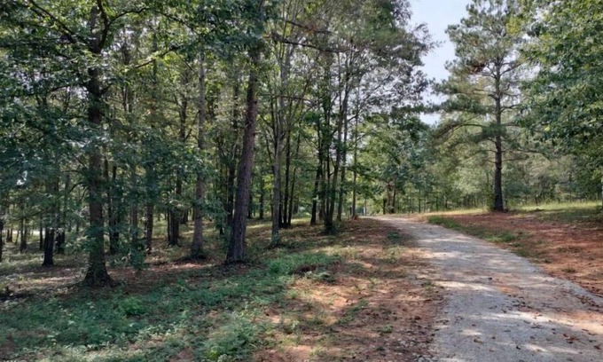 Ashland RV Rental | Pet-Friendly Full Hookup RV Sites at Hairy Hiker Woods