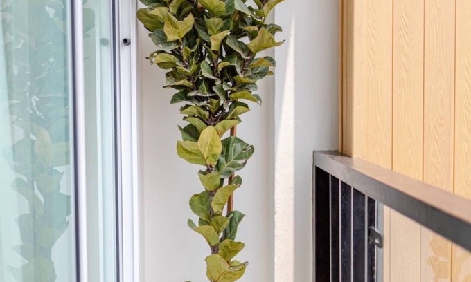 Chiang Rai Hotel | Haksabai Hotel: Family-Friendly Stay with Great Amenities