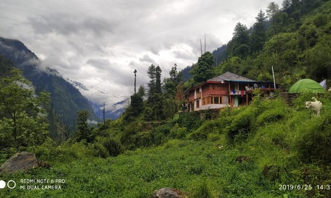 Kullu House | Experience Hakuna Matata with Pet-Friendly Amenities