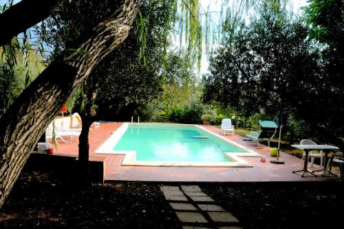 Giove House | Hakuna Matata: Oceanfront Retreat with Pool & Pet-Friendly!