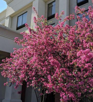 West Chester Hotel | Discover Hampton Inn & Suites: Pet-Friendly Getaway in Cincinnati