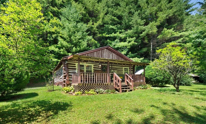 Spruce Pine Cabin | Cozy Log Cabin with Ocean View & King Bed Near BR Parkway