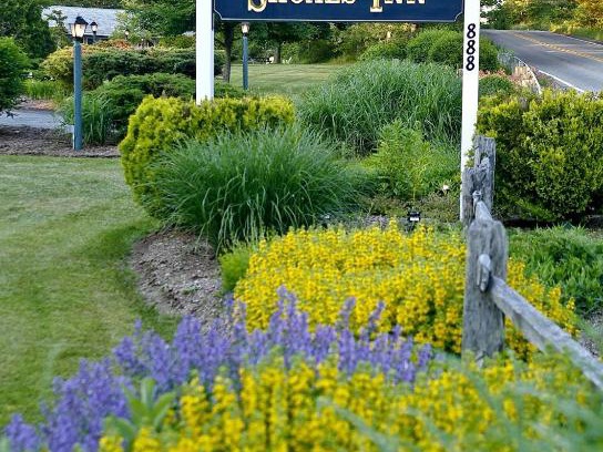South Harwich Hotel | Relax at Handkerchief Shoals Inn with Oceanfront Amenities