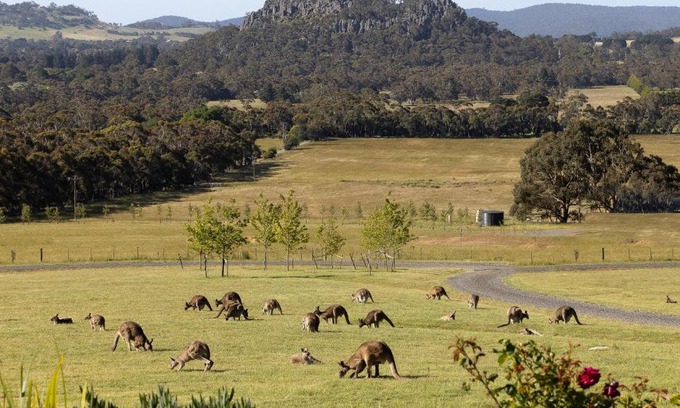 Woodend Bed & Breakfast | Experience Hanging Rock Views with Spa and Family Amenities