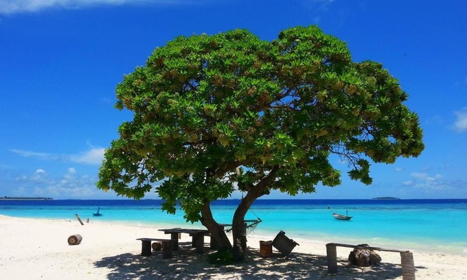 Dharavandhoo House | Top-Rated Hanifaru Transit Inn: Family-Friendly Getaway