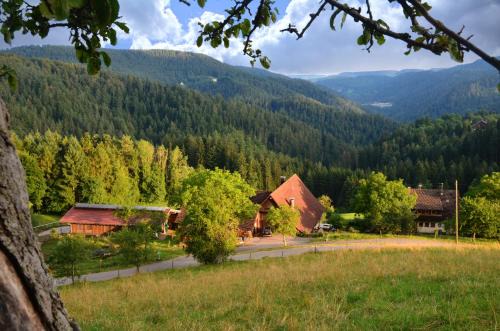 Schiltach Apartment | Pet-Friendly Hansjörgenhof Bioland-Hof with High Guest Ratings