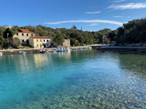 Janjina Apartment | Experience Happy Day: Pet-Friendly Oceanfront Retreat