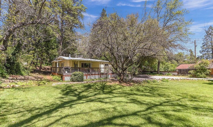 Murphys House | Experience Happy Hollow: Pet-Friendly Oasis with Spa & Breakfast