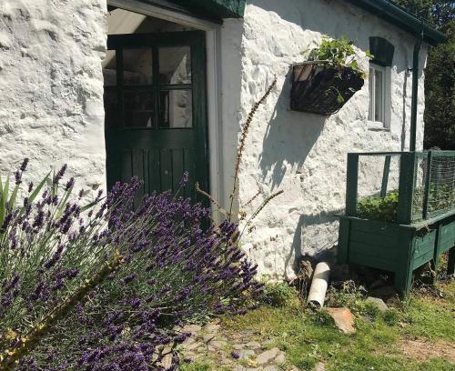 Abergele House | Inviting Yurts & Garden Retreat Perfect for Family Getaways