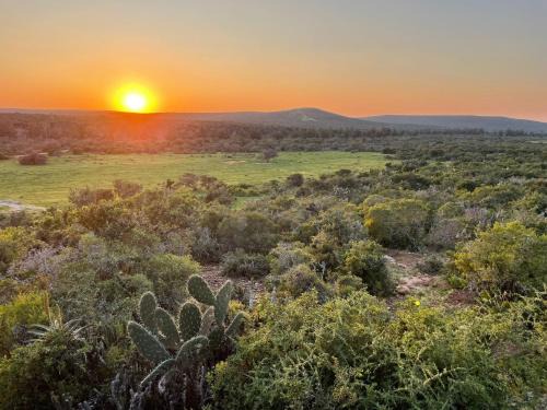Nelson Mandela Bay Cabin | Exclusive Harmony Safari Tents with Family-Friendly Dining