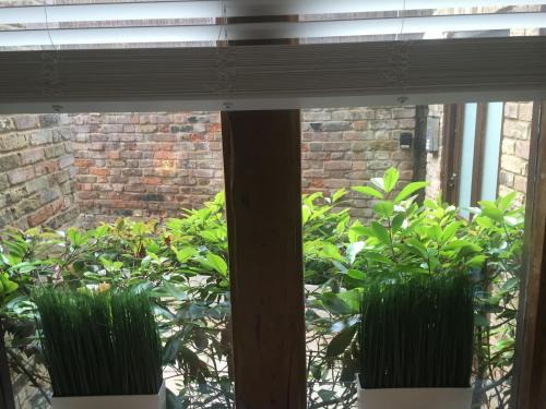 Harpenden Apartment | Discover Harpenden House: 4-Star Family & Pet-Friendly Retreat
