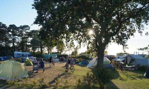 Hasle Other | Pet-Friendly Hasle Camping with Ocean View and Pool Access