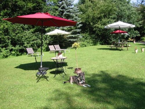 Schoenecken Apartment | Pet-Friendly Retreat: Haus 2 - Typ A Appartement Awaits