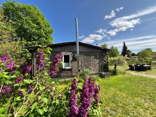 Joachimsthal Apartment | Relax at Haus am Grimnitzsee with Sauna and Ocean Views