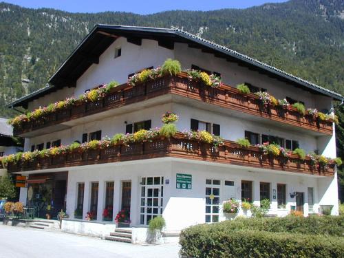 Obertraun House | Haus Alpenrose Obertraun