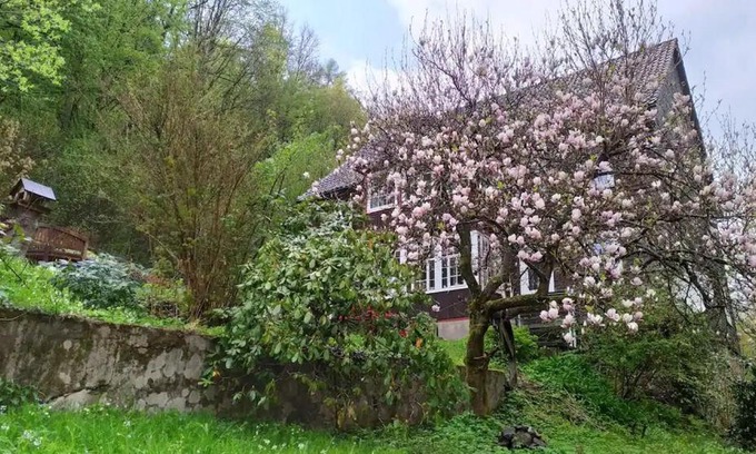 Walkenried House | Comfortable Haus am Wald for 16+ Guests with Great Amenities