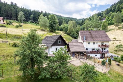 Schenkenzell Apartment | Relax at Haus Am Waldrand with Pool & Child-Friendly Fun