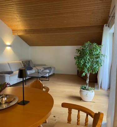 Sonnen Apartment | Delightful Alpine Retreat with Pool and Ocean Views