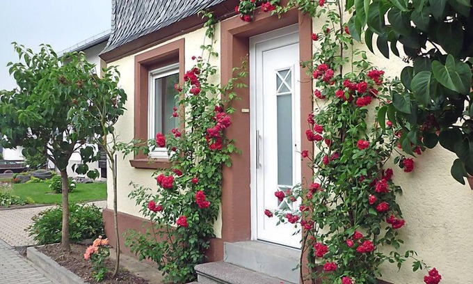 Haserich House | Pet-Friendly Haus Irmgard with Spa & Family Amenities