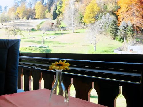 Bad Wildbad Apartment | Family-Friendly Getaway at Haus Mühlgrund - Rated 9/10