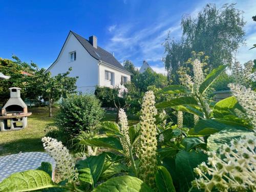 Thiessow Apartment | Relax at Haus Meerglück Lachmöwe: Pet & Family Friendly Stay