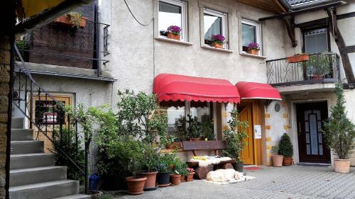 Bad Kreuznach District Apartment | Inviting Haus mit Seele im Nahetal - Pet & Child Friendly Stay