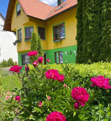 Sankt Johann Apartment | Guest Rated Haus Rosa: Family-Friendly with Kitchen Amenities