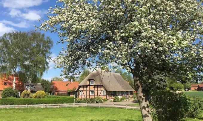 Schmiedendorf House | Experience Haus Ruhe unter Reet with Oceanfront Bliss