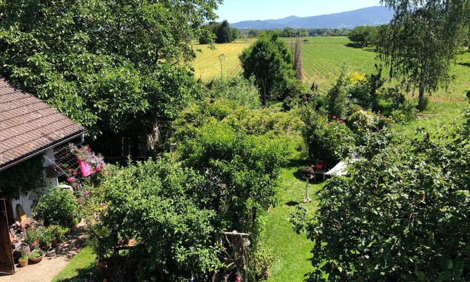 Achern Apartment | Family-Friendly Retreat at Haus Schwarzwaldblick - Rated 8.8