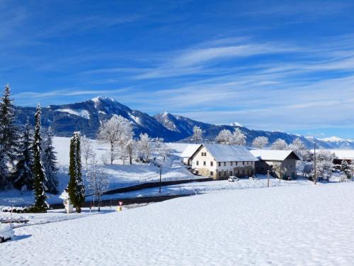 Notsch im Gailtal Apartment | Discover Haus Tilia Karinthië: Pet-Friendly Family Retreat