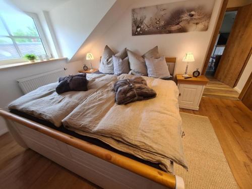 Weissenstadt Apartment | Waldstein Gipfelstürmer: Oceanfront Retreat with Top Reviews