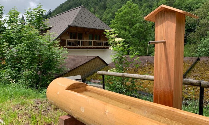 Todtnau Apartment | Family-Friendly Retreat at Haus Wiesengrund-Fahl - FeWo 4