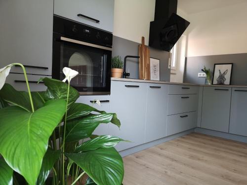 Postbauer-Heng House | Stay at Haus zur lachenden Lieselotte Near Nature & Events