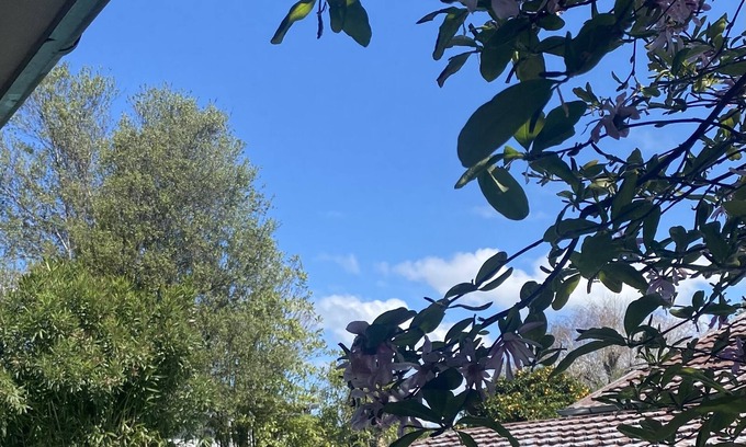 Havelock North House | Relaxing Havelock Hideaway with Private Pool & Breakfast