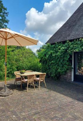 Havelte Apartment | Discover Havelterhoeve: 4-Star Retreat with Pool & Breakfast