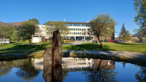 Orsta Hotel | Discover Havila Hotel Ivar Aasen with Ocean Views & Breakfast