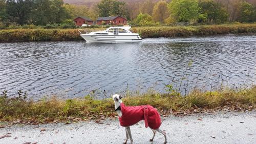 Torcastle House | Pet-Friendly Hawthorn Lodge: Guest Rated 9.2/10
