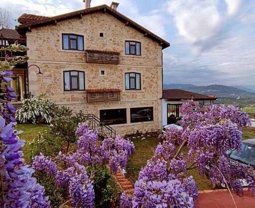 Fatsa Bed & Breakfast | Discover Hayat Oksijen Resort: Guest Rated 9.7/10 Stay