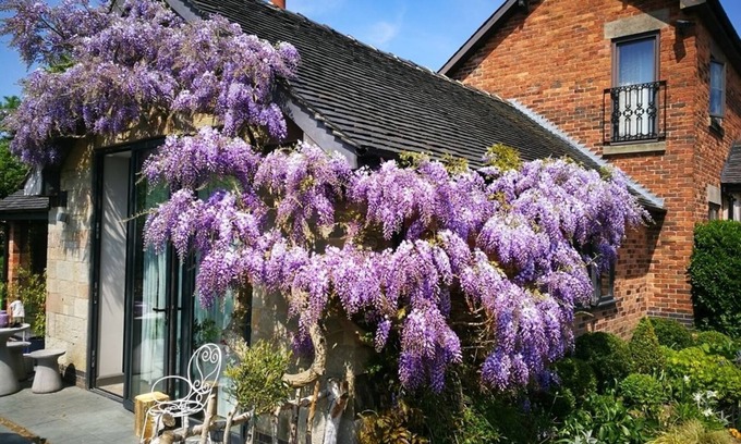 Stanley Common House | Premier Hayeswood Lodge: Family-Friendly Retreat with Breakfast