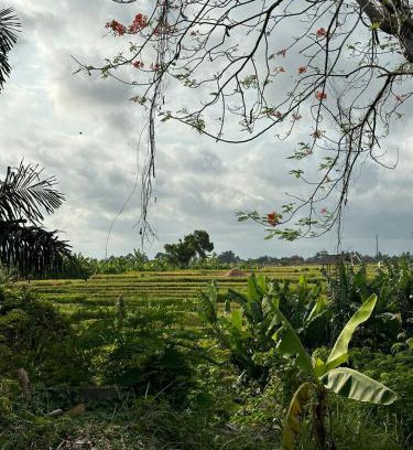 Sukawati House | Hazel's House