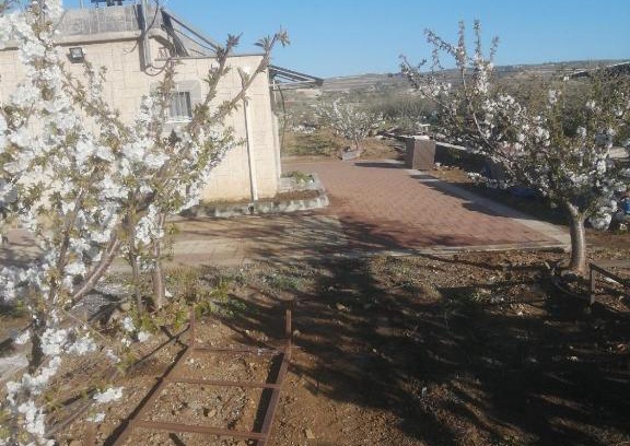 Majdal al-Shams Apartment | Cherry House: Family-Friendly Retreat with Top Guest Ratings